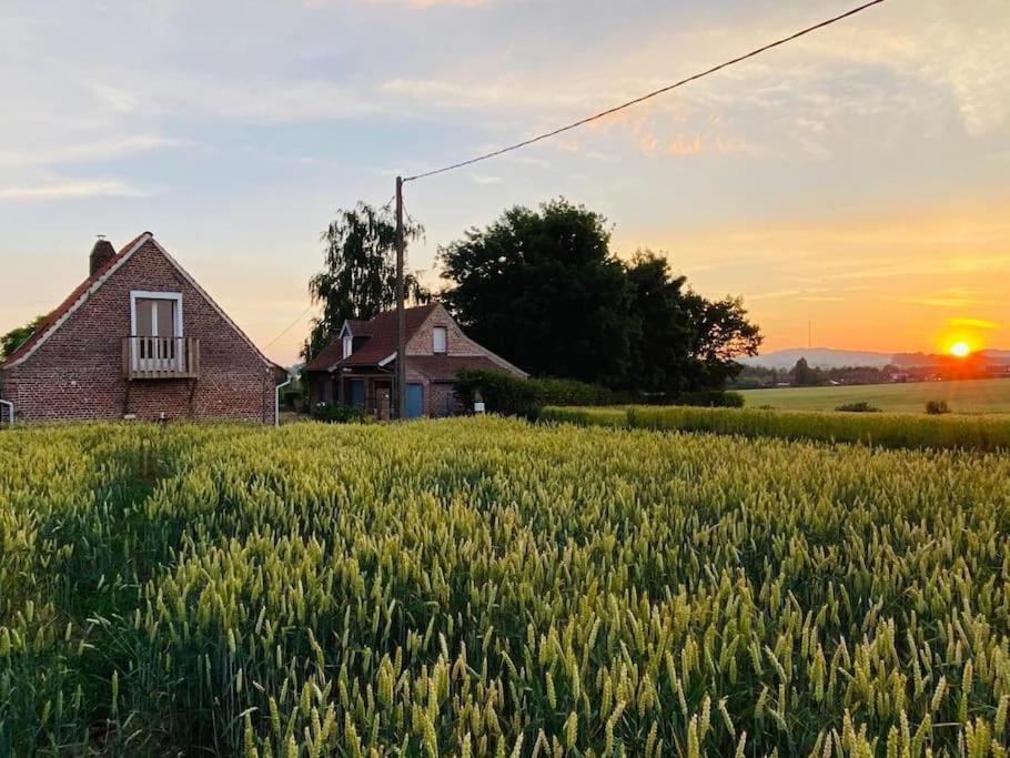 Saint-Jans-Cappel Cottage Chaleureux Au Coeur Des Monts De Flandres מראה חיצוני תמונה